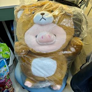 55CM 小熊泰迪 小豬豬仔 毛公仔 毛絨公仔 大毛公仔 夾公仔 攬枕 PIG BEAR TEDDY Pl...