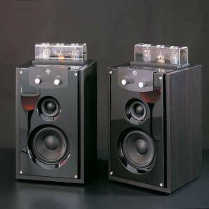 V.A.L. M-20mkII Vacuum Tube Active Speaker