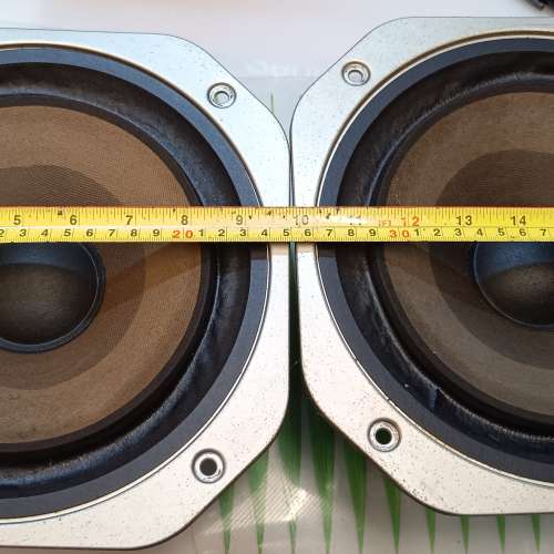 AkAl 雅佳 10寸低音