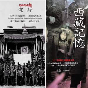 西藏记忆 西藏大事记