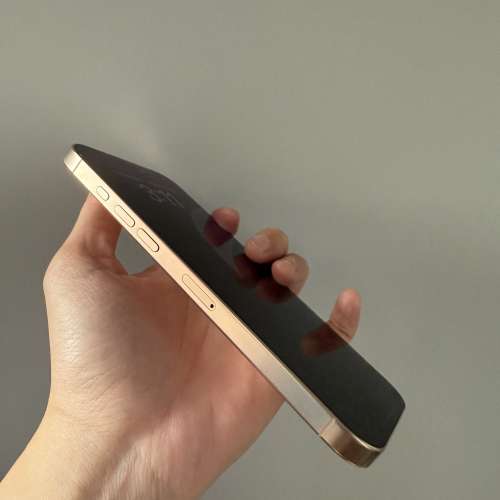 iPhone 16pro max 512金色 完美主義