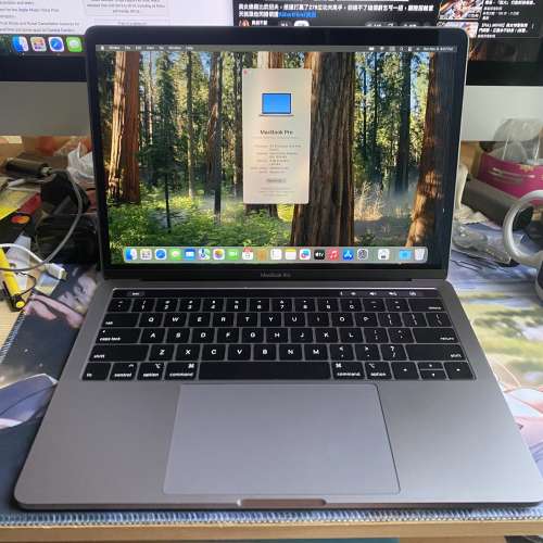 [充電260次] Apple MacBook Pro 13 Touch Bar [2019] (8代四核 i5 / MacOS 15 Sequ...