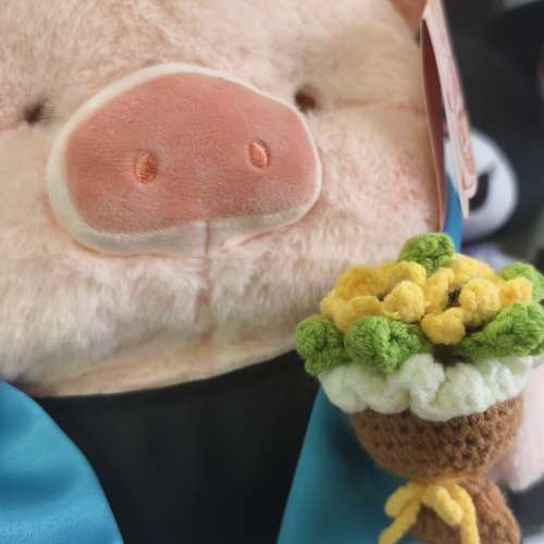 保證正版lulu豬畢業公仔 一口價$399.99（外面賣$5xx，歡迎格價，$399.99全網最平，...