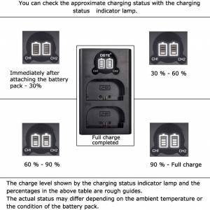 DSTE LP-E6P Rechargeable Lithium-ion Battery With LCD Display Dual USB-C Charger
