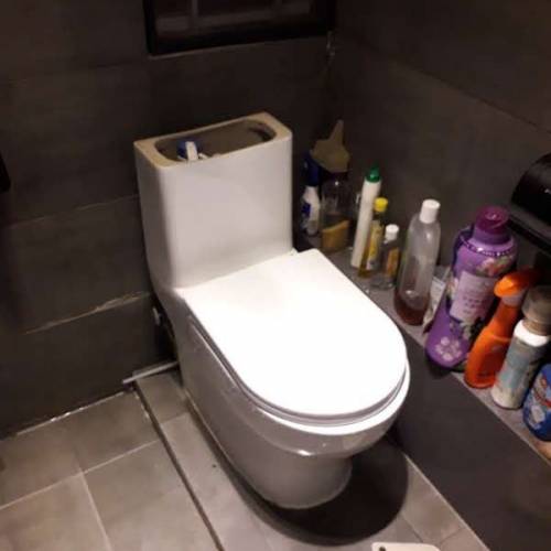 維修洗手盆/水龍頭/坐廁及配件更換