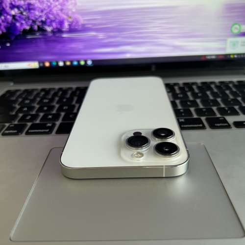 iphone13promax白色256GB