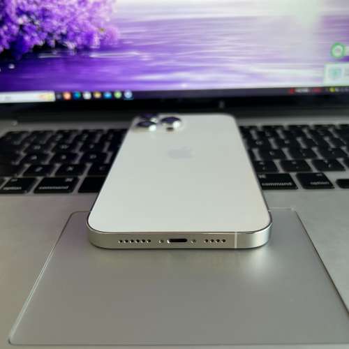 iphone13promax白色256GB