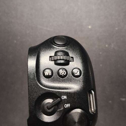 Panasonic G9 battery grip