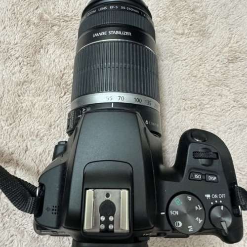 Canon 250D + 55-250mm 鏡頭
