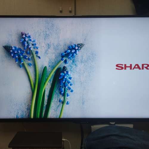 Sharp 48S3H 二手夏普4K 48寸電視 not LG Panasonic Samsung Sony TCL