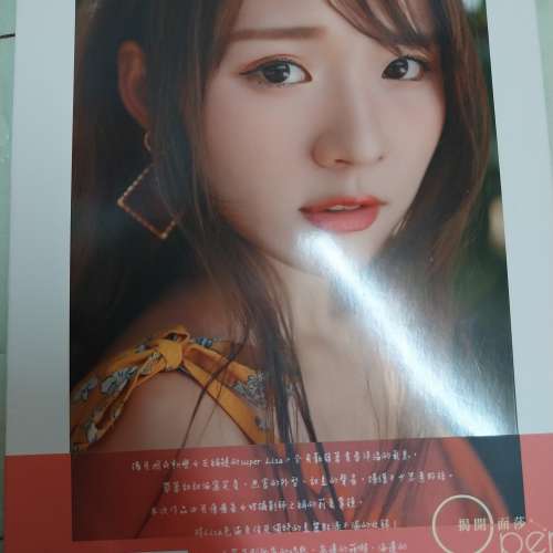 林莎寫真集- 二手或全新書籍, 其它- DCFever.com