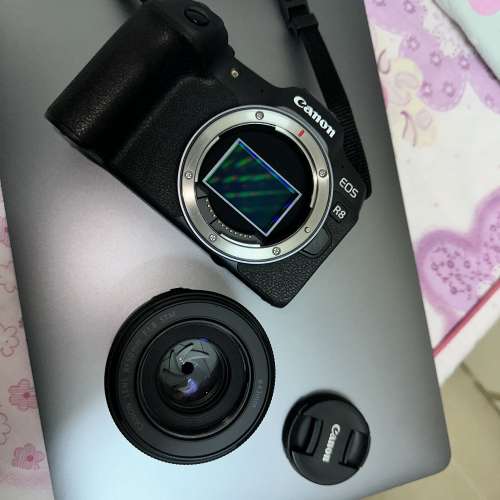 Canon R8 RF 50mm f1.8