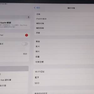 二手iPad (第九代) 64GB 連 Apple Pencil, 正版Apple充電器, 保護套(非Apple官方)