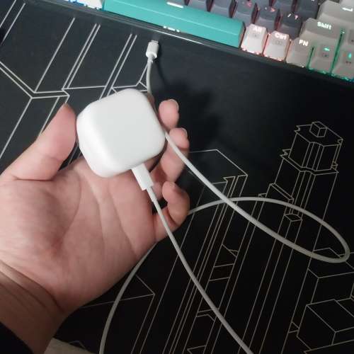 二手iPad (第九代) 64GB 連 Apple Pencil, 正版Apple充電器, 保護套(非Apple官方)