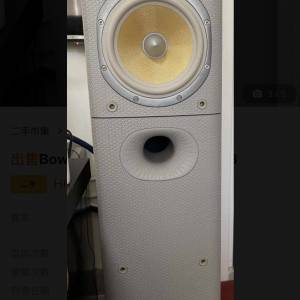 Bowers & Wilkins DM602.5 S3