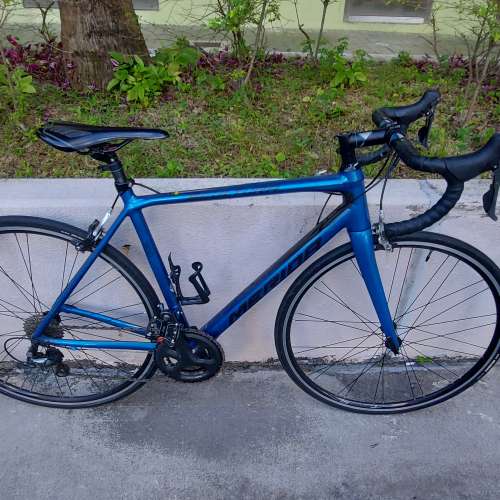 MERIDA SCULPTURE 300