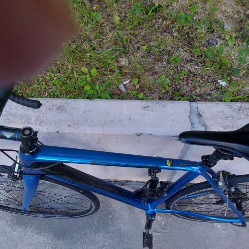 MERIDA SCULPTURE 300