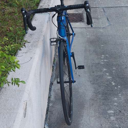 MERIDA SCULPTURE 300