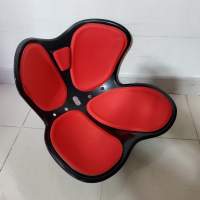 矯正坐姿墊 (護腰 坐墊) Seat Protective Cushion