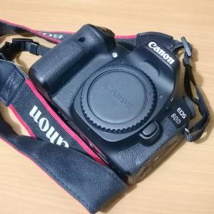 Canon 佳能80D單反相機