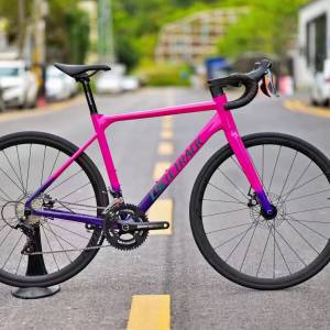 2023 CycleTrack Star 18速碳前叉桶軸碟剎鋁合金公路車 送水架前後蛙燈