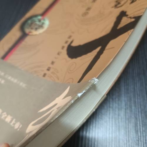 盗墓笔记十年（簡體字小說）