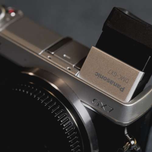 Panasonic Lumix GX7 + 14-45mm lens (MFT,M43)