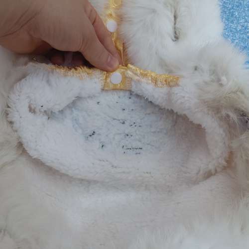 全新中式黃色貓狗夾棉衣服 狗衫 貓衫寵物秋冬衣物 寵物保暖 新年棉衣 狗仔衫 寵物衫...