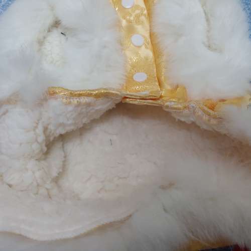 全新囍字雙喜貓狗中式夾棉衣服 狗衫 貓衫寵物秋冬衣物 寵物保暖 新年棉衣 狗仔衫 寵...