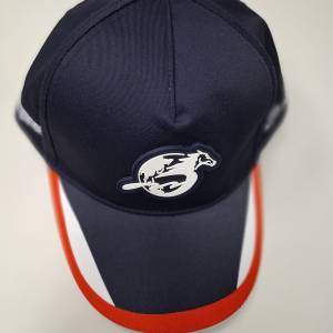 cap 帽