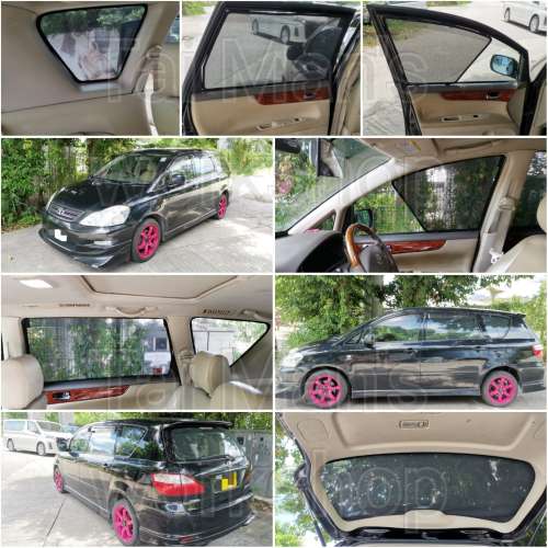 Picnic IPSUM 全車磁石濾光窗網太陽擋