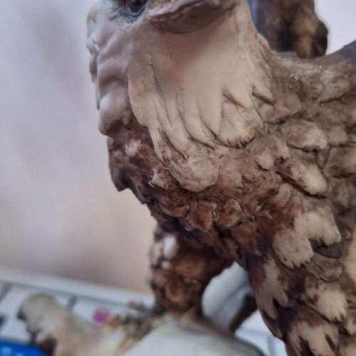 飛鷹擺設極重手