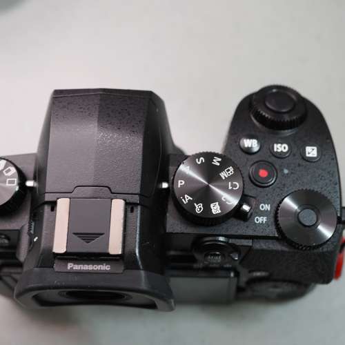 Panasonic Lumix DMC-G90 / G95 / G99