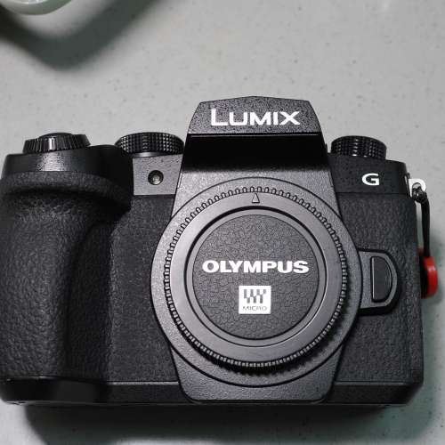 Panasonic Lumix DMC-G90 / G95 / G99