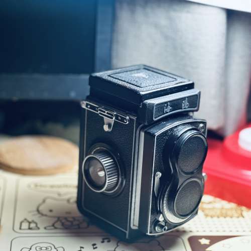 出售海𠥹120菲林相機，按快門及自拍制有反應，長放防潮箱，因冇菲林測試，所以平讓...