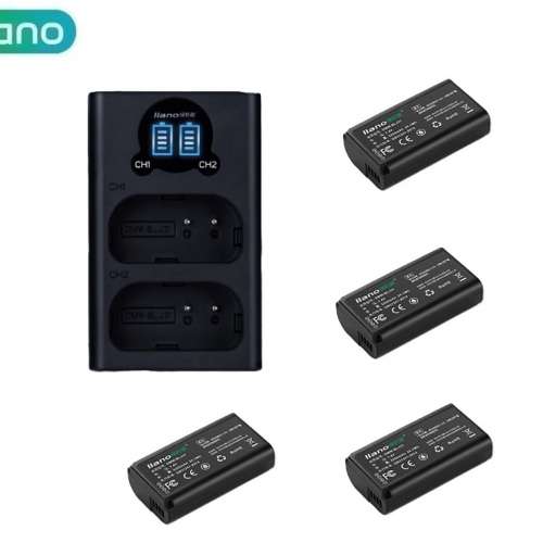 LLANO DMW-BLJ31 Lithium-Ion Battery Pack With LCD Display Dual USB-C Charger