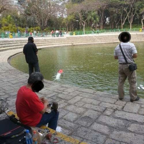 屯門公園玩遙控船(快!快!快!)🌹🦀🦑
