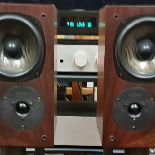 Castle Richmond 3I 書架喇叭