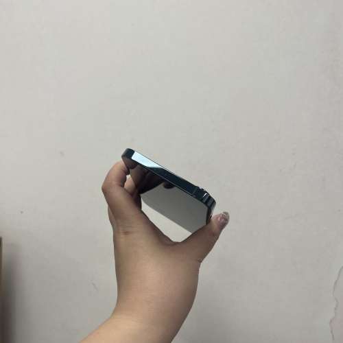 （電子之家，手機專家）Apple iPhone，高質靚iPhone機✨Apple iPhone 12 Pro Max/2...