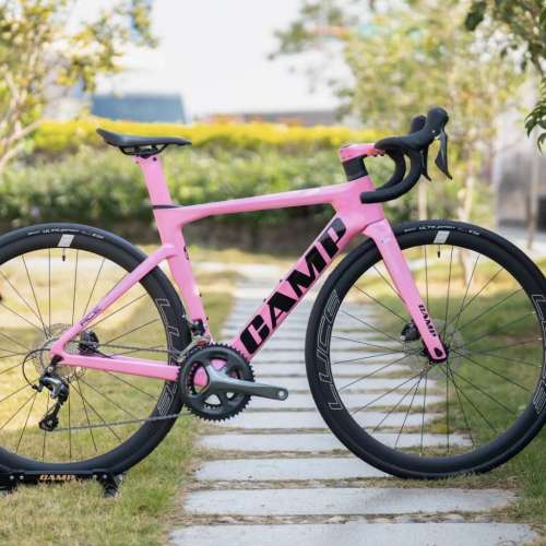 CAMP ACE5000 20速 桶軸碟剎碳纖維公路車 送水架前後蛙燈