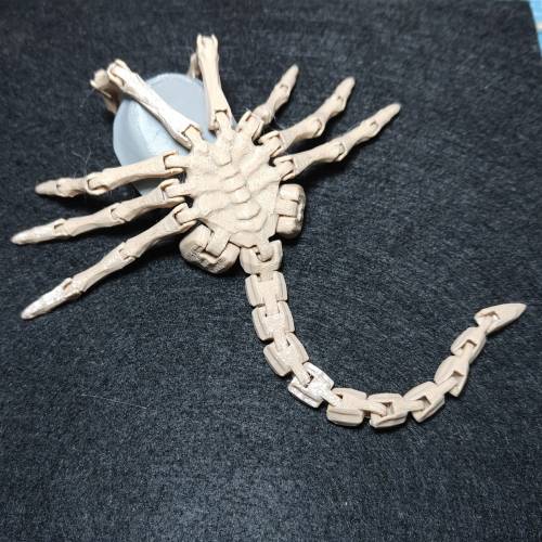 [包郵] 異形 抱面體3D打印