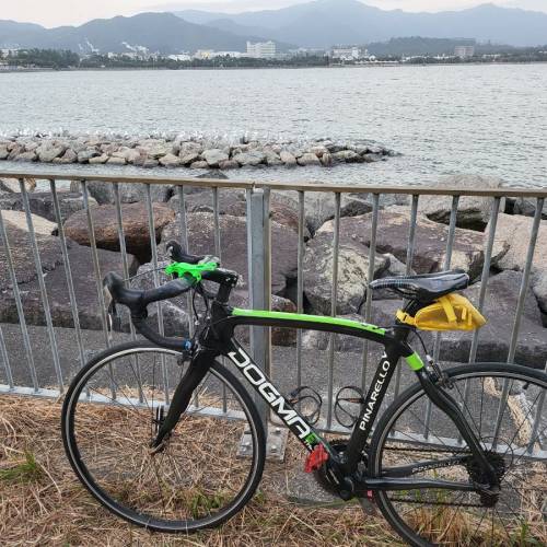 DOGMA 65.1全碳車