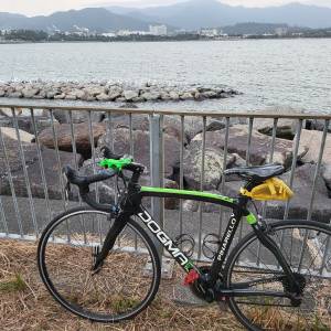 DOGMA 65.1全碳車