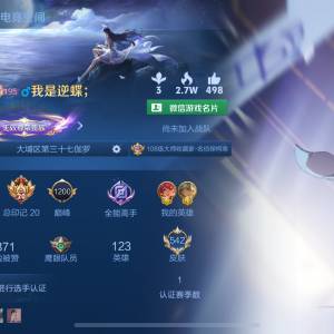 王者榮耀無雙v10號