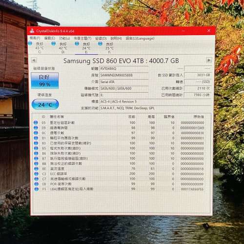 Samsung 860 EVO SATA SSD 4TB x2