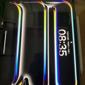 ipad pro(M4) 13inch 256GB Wifi
