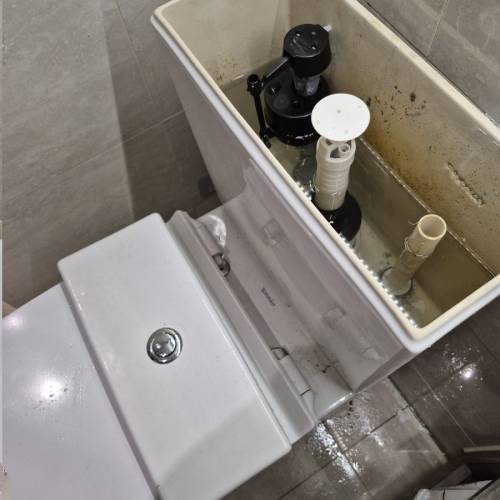 座廁，洗手機，水龍頭維修及安裝