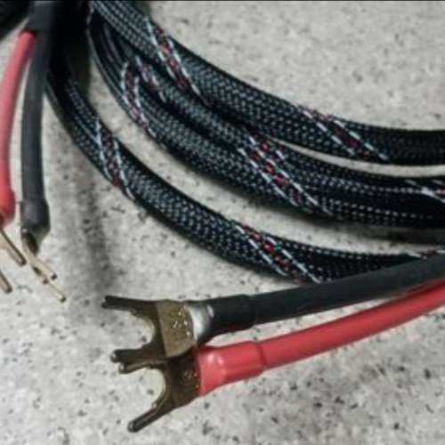 Venus cable speakers 3.9米～ l對