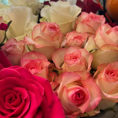 情人節預購花束（真花！