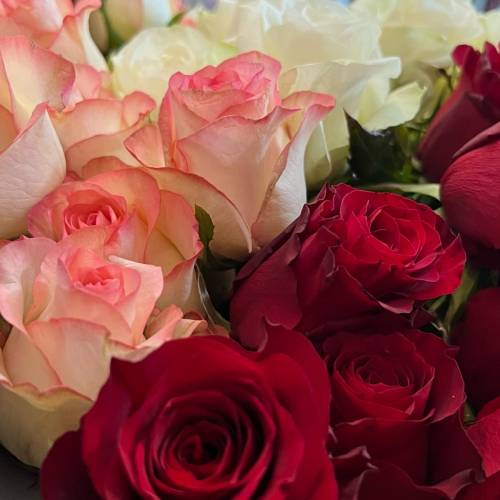 情人節預購花束（真花！